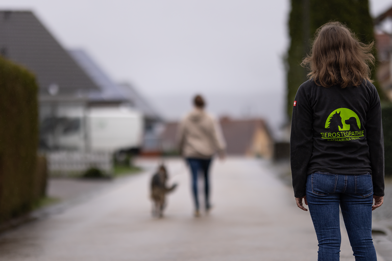 Behandlung Physiotherapie und Osteopathie